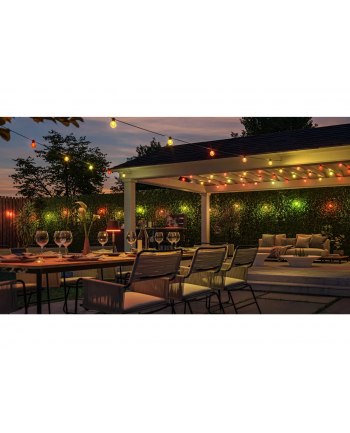 Philips Hue Festavia Globe String Lights for Outdoor Use, 14 m | 30 W | Bluetooth, Zigbee