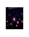Philips Hue Hue Festavia Globe Outdoor String Lights, 14m Extension | 30 W - nr 8