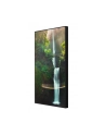 hisense Monitor 55WH80F 55 '' 4K ADS Window Facing Display 24/7 - nr 12