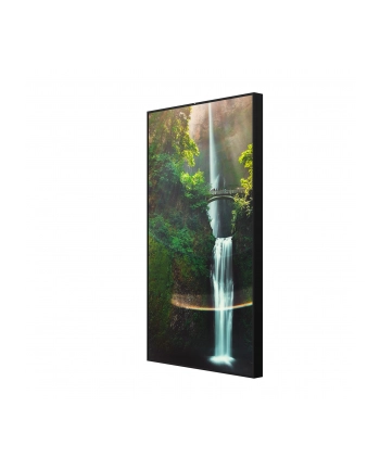 hisense Monitor 55WH80F 55 '' 4K ADS Window Facing Display 24/7 nr 1