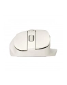 asus Mysz bezprzewodowa MD105 Milky White - nr 4