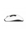 asus Mysz bezprzewodowa MD105 Volt Green - nr 4