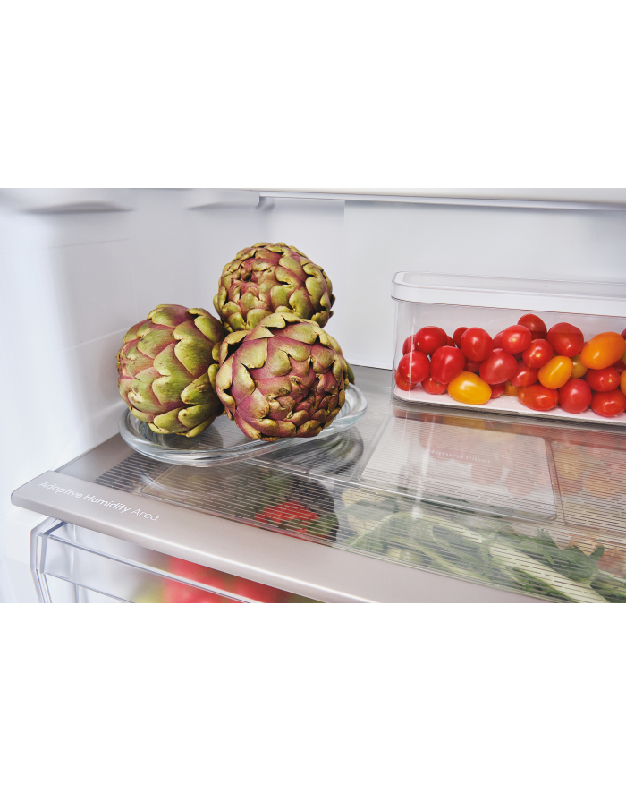 candy Chłodziarko-zamrażarka ECN4CQTEX186 główny