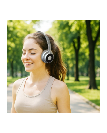 logilink Słuchawki z mikrofonem, BT6.0, ANC, srebrne