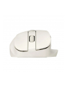 asus Mysz bezprzewodowa MD105 Milky White - nr 11