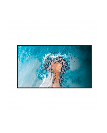 hisense Monitor 55DM66D 55 '' 4K UHD IPS Digital Signage Display 24/7