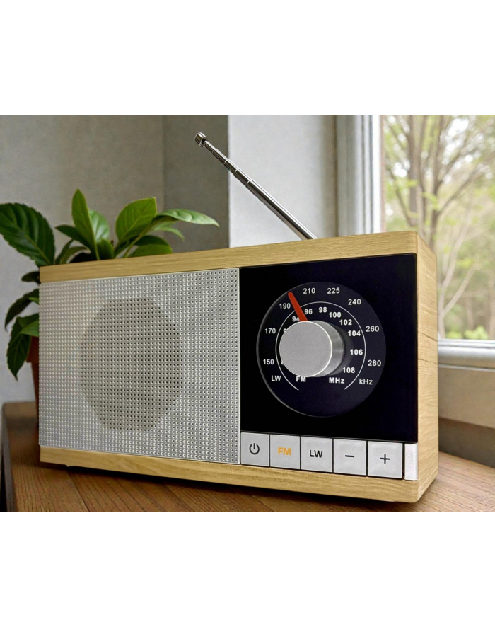 eltra Radio Krystyna w drewnianej obudowie główny