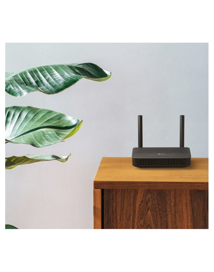 tp-link Router XX530v główny