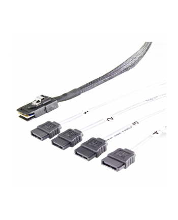 FANTEC SRC-mini SAS zu 4x SATA Kabel nr 1