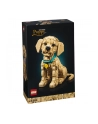 LEGO 11384 Icons - Szczeniak golden retriever - nr 1