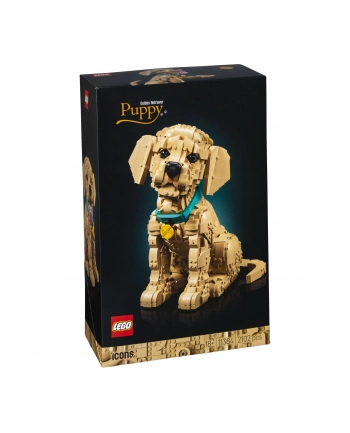 LEGO 11384 Icons - Szczeniak golden retriever nr 2