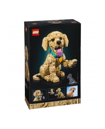 LEGO 11384 Icons - Szczeniak golden retriever nr 1