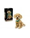 LEGO 11384 Icons - Szczeniak golden retriever - nr 3