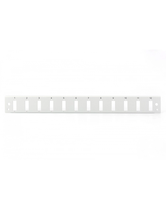 Assmann Professional (DN96201QL) główny