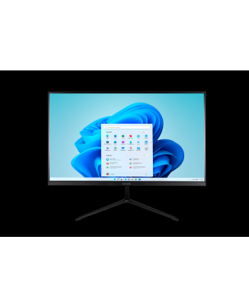 Wortmann Ag TERRA ALL-IN-ONE-PC 2401 GREENLINE nr 1