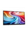 Acer PM161QTBMIUUUX - 60Hz | Full HD | IPS | 15,6'' | 6ms | HDR10 | USB-C - nr 22