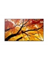 sharp Monitor MultiSync M322 32 cale 24/7 - nr 1