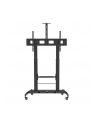 techly Stojak mobilny do tv 52-110 '' 120kg lub do tablicy interaktywnej - nr 1