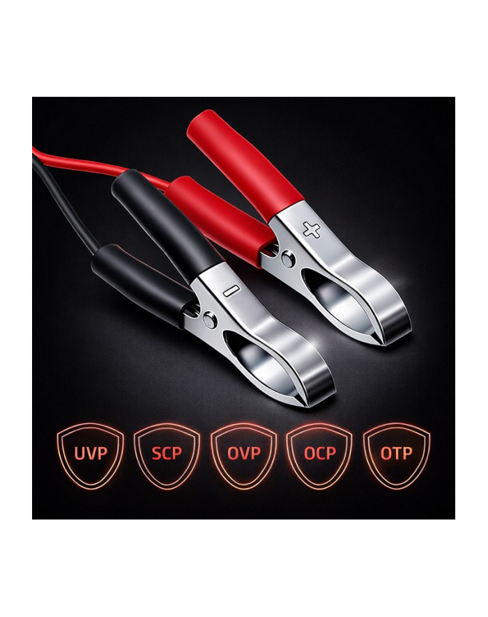 qoltec Ładowarka do akumulatora AGM GEL STD | Prostownik 24V | 2A | 48W | LED | Kabel 1.8m główny