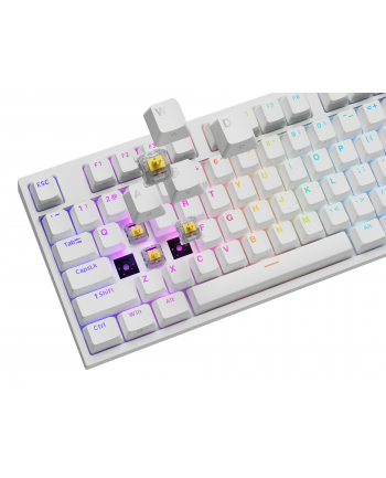 Genesis Thor 404 biała RGB Gateron Yellow Pro klawiatura mechaniczna | Qwerty | USB | 11 klawiszy multimedialnych | podświetlenie RGB | Gateron Yellow Pro | Hot-Swap | biała nr 1