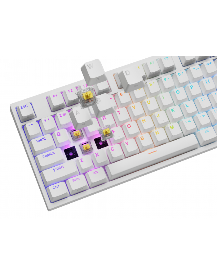 Genesis Thor 404 biała RGB Gateron Yellow Pro klawiatura mechaniczna | Qwerty | USB | 11 klawiszy multimedialnych | podświetlenie RGB | Gateron Yellow Pro | Hot-Swap | biała główny