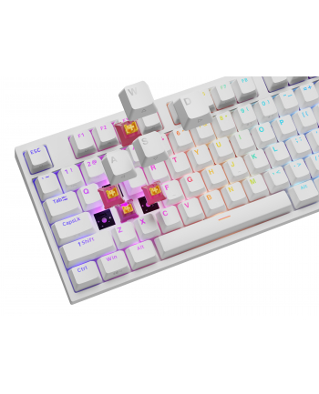 Genesis Thor 404 biała RGB Outemu Peach Silent klawiatura mechaniczna | Qwerty | USB | 11 klawiszy multimedialnych | Outemu Peach Silent | Hot-Swap | biała nr 1