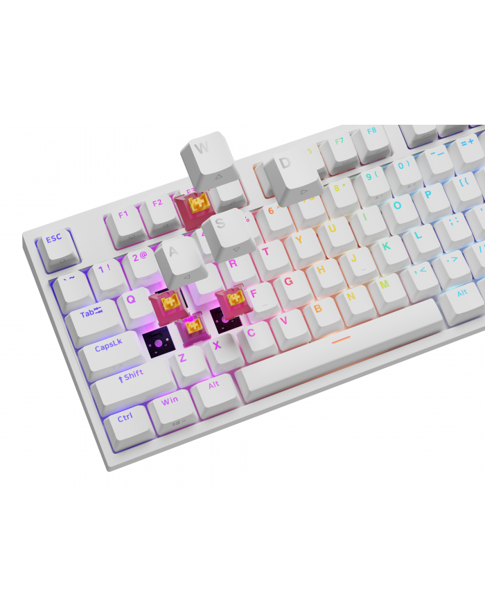 Genesis Thor 404 biała RGB Outemu Peach Silent klawiatura mechaniczna | Qwerty | USB | 11 klawiszy multimedialnych | Outemu Peach Silent | Hot-Swap | biała główny