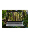 HP OmniBook 5 - Ryzen 5 8540U | 16'' | 16GB | 512GB | noOS | Srebro lodowcowe Ryzen 5 8540U|LCD:16''2K|RAM:16GB|SSD:512GB|noOS - nr 21