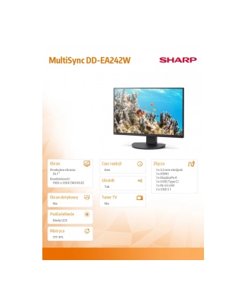 sharp Monitor MultiSync DD-EA242W 24.1 cala  czarny