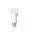 Philips Hue White Ambiance A67 E27 1600 - nr 11