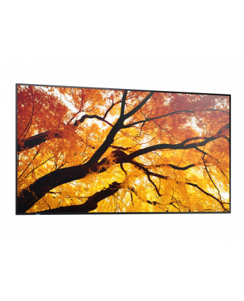 sharp Monitor M652 65 '' 24/7 550cd/m2 nr 2