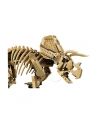 LEGO Jurassic World 77985 - Szkielety dinozaurów: Triceratops - nr 5