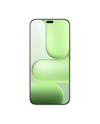 Honor 600 Lite 8/256GB DS 5G Sprout Green nr 1
