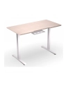 ENDORFY Atlas S Electric Biurko Elektryczne Light Wood (EY8E009) - nr 10