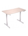 ENDORFY Atlas S Electric Biurko Elektryczne Light Wood (EY8E009) - nr 1
