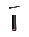 PHILIPS HUE Cylindryczna oprawa wisząca Perifo czarny (929003115901) - nr 1