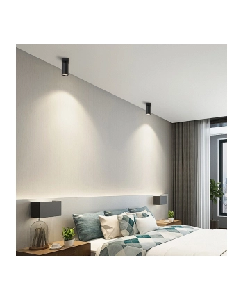 IMMAX Lampa Sufitowa punkt czarna (1806417) nr 2