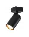 IMMAX Lampa Sufitowa punkt czarna (1806417) - nr 1