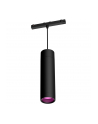 PHILIPS HUE Cylindryczna oprawa wisząca Perifo czarny (929003115901) - nr 7