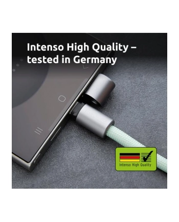Intenso Cable Usb C To 1 65M Lanyard Green 7991007