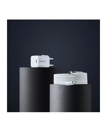 Intenso Zasilacz Power Adapter 30W USB-C mit USB-C-Kabel (7803042)