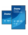 IIYAMA LH4366UHSB-B1AG 43inch 3840x2160 UHD VA panel Haze 25precent 800cd/m2 Landscape and Portrait IP5X Dust pczerwonyection Speakers - nr 10