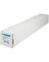 Papier powlekany o wysokiej gramaturze, 1067 mm, 30 m, 130 g/m2 (C6569C) - nr 17