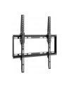 Goobay Wall mount | Basic TILT (M) | Tilt | 32-55 '' | Maximum weight (capacity) 35 kg | Black - nr 11