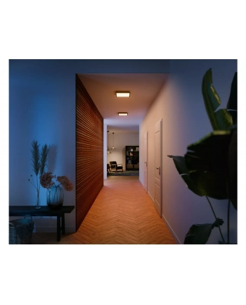 Philips Hue Aurelle square panel light, Black | 2200-6500 Hue White Ambiance nr 1
