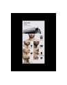 Braun 10in1 Hair Clipper Set | All-in-One Series 3 AIO3560 | Cordless | Number of length steps 14 | Black - nr 3