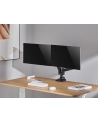 Equip Uchwyt biurkowy na 2 monitory 17'' - 35''(650182) - nr 12