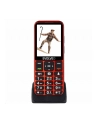 Evolveo EasyPhone LT - nr 1