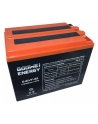 Goowei Energy Akumulator trakcyjny Pb VRLA GEL 12V 55Ah (6EVF55) - nr 1