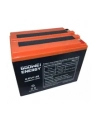 Goowei Energy Akumulator trakcyjny Pb VRLA GEL 12V 55Ah (6EVF55) - nr 2